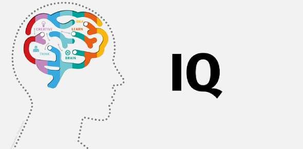 What is IQ and does it matter? - One Central Health